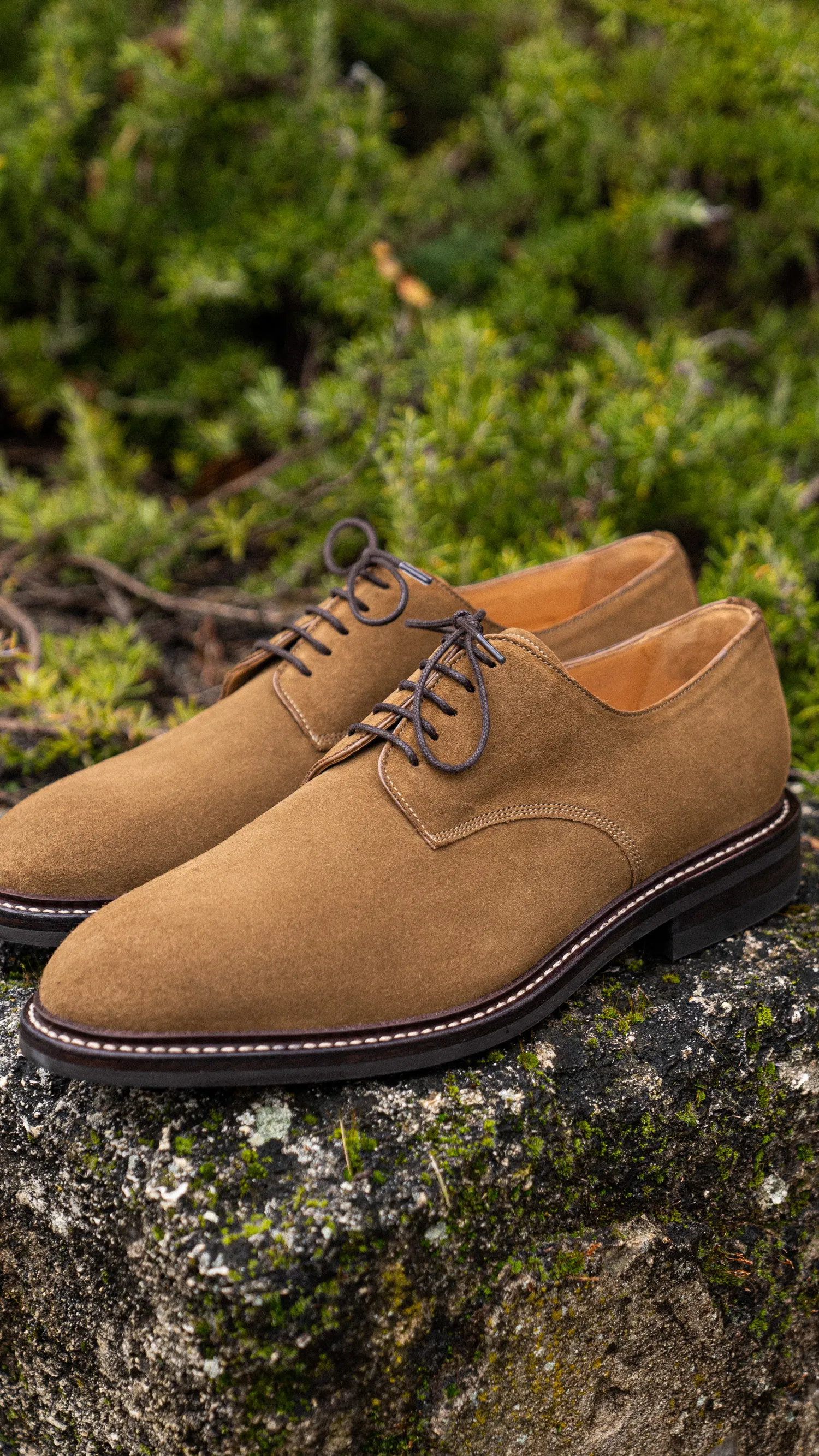 Les Derbies